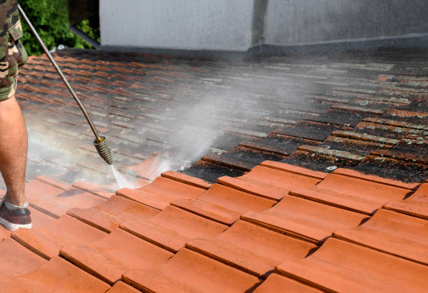 Best Residential Pressure Washing Services  in Seneca, MO