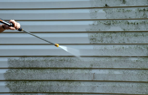 Best Roof Pressure Washing  in Seneca, MO
