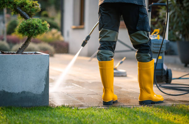 Best Best Pressure Washing Companies  in Seneca, MO